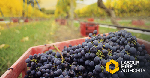 Welcome to the May 2023 edition of LHA News