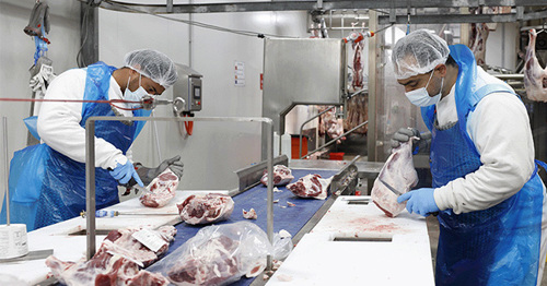 LHA officers identify alleged non-compliance including underpayment of workers at meat processing facility during site visit