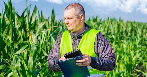 Labour Hire Authority identifies noncompliance with minimum accommodation standards, migration laws and worker entitlements at Shepparton farms